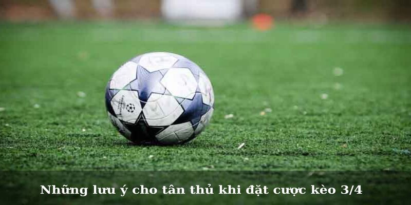 Những lưu ý cho tân thủ khi đặt cược kèo 3/4 