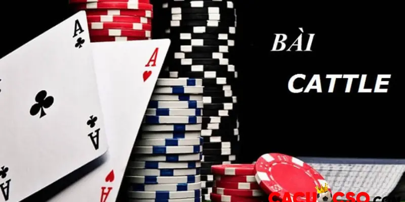 Thông tin cơ bản về cách đánh bài Cát Tê tại Tip88