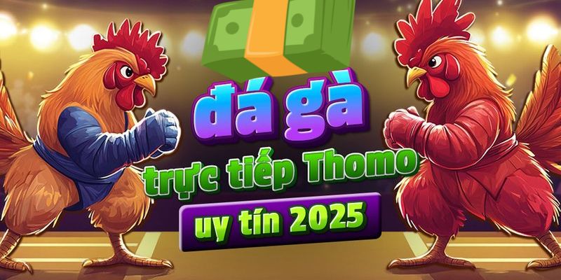 Tỷ lệ kèo đá gà tip88 tốt